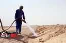 آب اراضی نهالکاری شده خوزستان تامین است