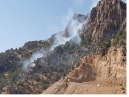 آتش سوزی در دامنه کوه تاراز اندیکا مهار شد