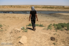 حق هورالعظیم را ادا کردهایم
