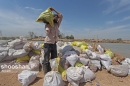 کاهش 800 هزار تنی تولید گندم در خوزستان در اثر سیل