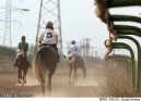 شناخت برترین‌های مسابقات اسب اصیل عرب کشور در اهواز