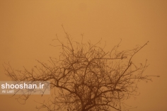 گرد و غبار پسا سیل در راه است...