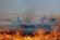مضرات آتش زدن مزارع کشاورزی و مجازات اقدام کنندگان