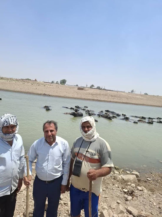 اندر احوالات «هور سوخته» و آنچه باید برای نجاتش انجام داد