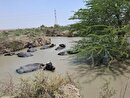 اندر احوالات «هور سوخته» و آنچه باید برای نجاتش انجام داد اندر احوالات «هور سوخته» و آنچه باید برای نجاتش انجام داد