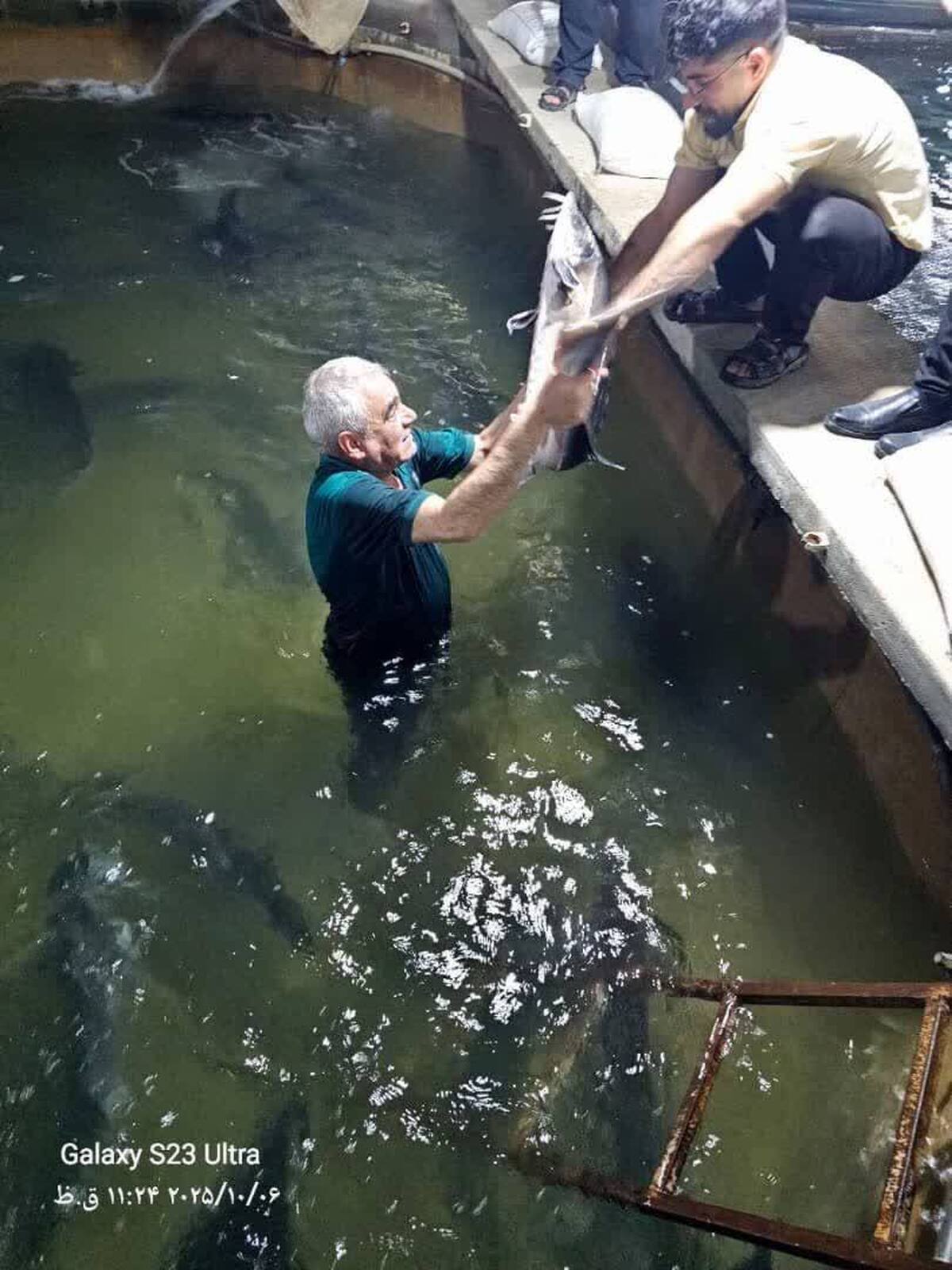مروارید سیاه