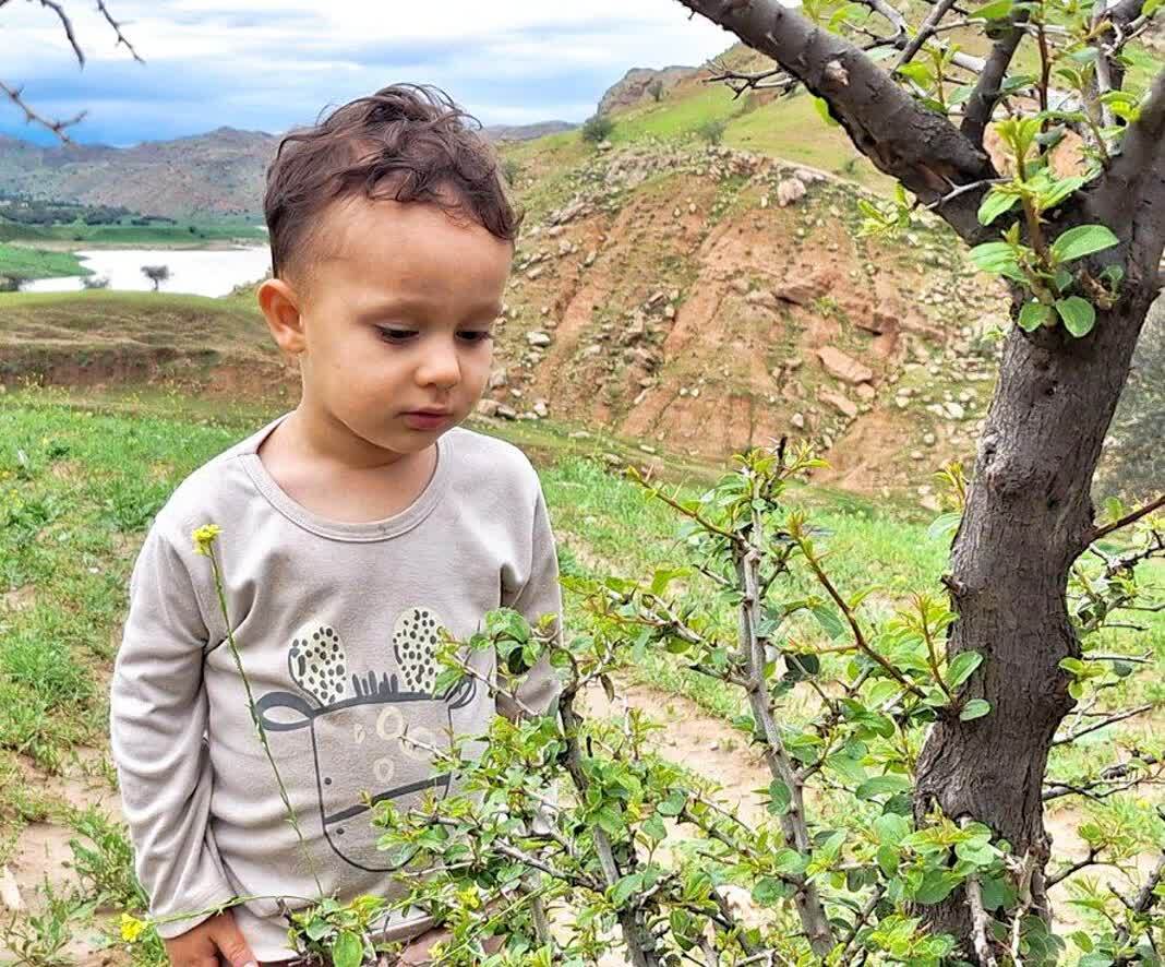 بهار لالى