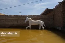 زندگی در عین دو اهواز