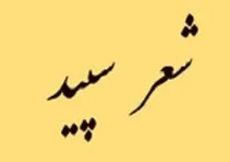 پیام صلح ، نوید جشنواره شعر عربی است