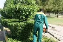 طنز / کنوکارپوس ها و دسیسه آمریکایی!