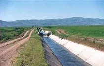 هیچ خسارتی از آب سد دز به مزارع کشاورزی شوشتر نرسیده است