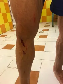بازیکن پارس جنوبی باید اخراج می‌شد نه سعید لطفی