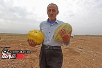 افتتاح طرح مالچ‌پاشی 11 هزار هکتار از بیابان های خوزستان