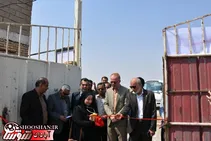 بهره برداری پرواربندی بره صنعتی در بندر چوئبده