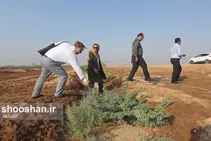 بازدید نمایندگان سازمان ملل از کانون های گرد و غبار اهواز
