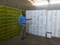 قفل بزرگترین کارخانه قند خاورمیانه باز میشود+ عکس