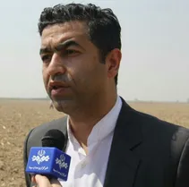 سال اینده 70 هزارتن شکر سفید تولید خواهیم کرد +عکس